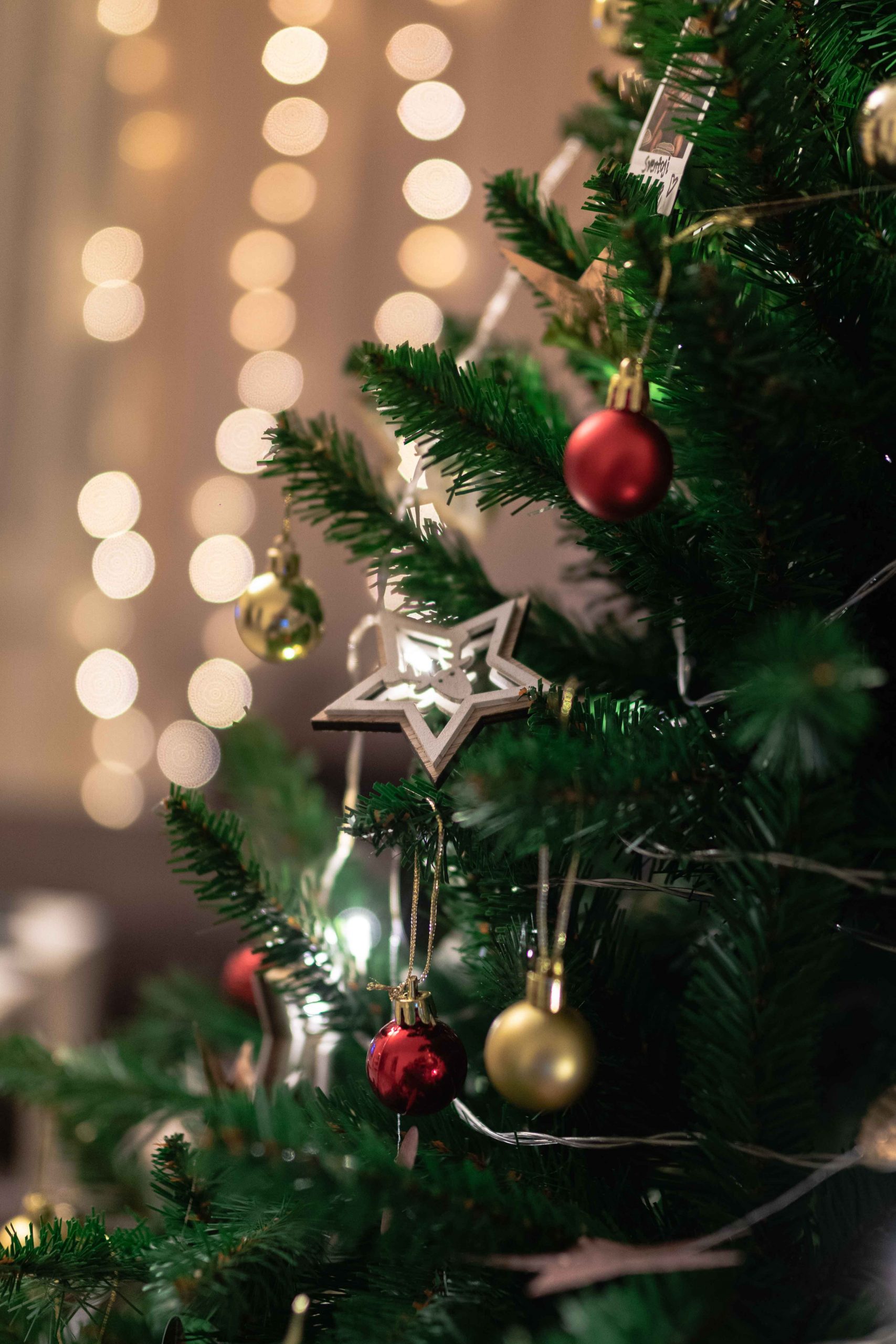 Weihnachten - pexels-gantas-vaiciulenas-3353968