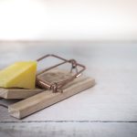 mouse-trap-cheese-device-trap-633881